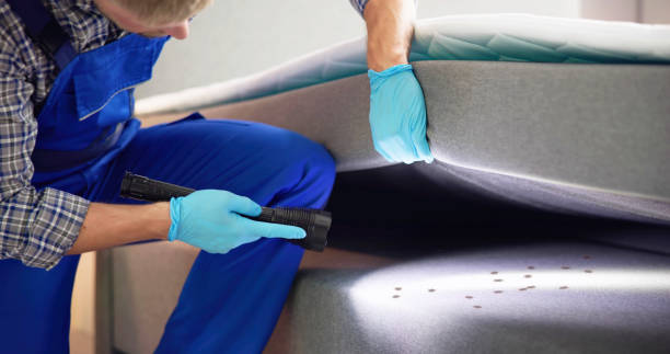 Best Commercial Pest Control Services  in San Antonio Heights, CA